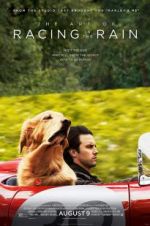 Watch The Art of Racing in the Rain M4ufreemovies