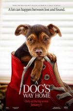 Watch A Dog's Way Home M4ufreemovies