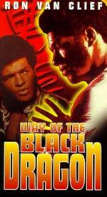 Watch Way of the Black Dragon M4ufreemovies