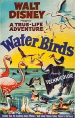 Watch Water Birds (Short 1952) M4ufreemovies