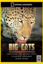Watch National Geographic: Living With Big Cats M4ufreemovies