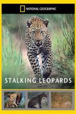 Watch National Geographic: Stalking Leopards M4ufreemovies