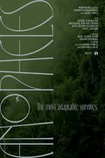 Watch Anopheles M4ufreemovies