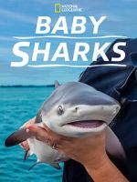 Watch Baby Sharks M4ufreemovies