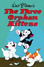 Watch Three Orphan Kittens M4ufreemovies