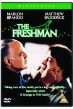 Watch The Freshman M4ufreemovies