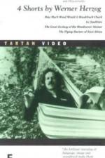 Watch La Soufria?re - Waiting For An Inevitable Disaster M4ufreemovies