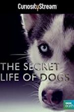 Watch Secret Life of Dogs M4ufreemovies