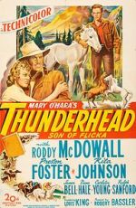 Watch Thunderhead: Son of Flicka M4ufreemovies