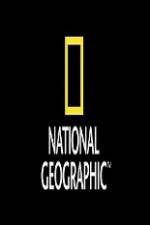 Watch National Geographic Wild Animal Attacks On Vacation M4ufreemovies