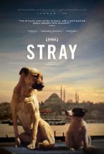 Watch Stray M4ufreemovies