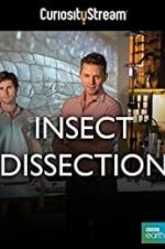 Watch Insect Dissection: How Insects Work M4ufreemovies