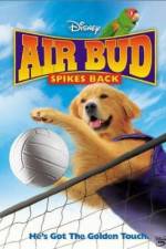 Watch Air Bud Spikes Back M4ufreemovies