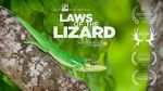Watch Laws of the Lizard M4ufreemovies