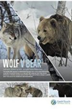 Watch Wolf vs Bear M4ufreemovies