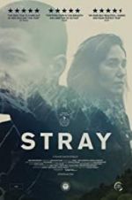 Watch Stray M4ufreemovies