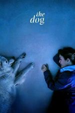 Watch The Dog M4ufreemovies