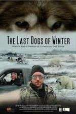 Watch The Last Dogs of Winter M4ufreemovies