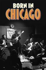Watch Born In Chicago M4ufreemovies