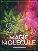 Watch Magic Molecule M4ufreemovies