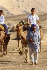 Watch Secrets Of The Arabian Nights M4ufreemovies