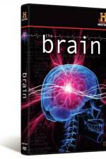 Watch The Brain M4ufreemovies