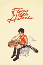 Watch Flores para Antonio M4ufreemovies