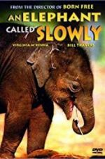 Watch An Elephant Called Slowly M4ufreemovies