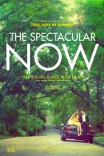 Watch The Spectacular Now M4ufreemovies
