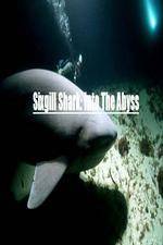 Watch National Geographic Wild Sixgill Shark Into The Abyss M4ufreemovies