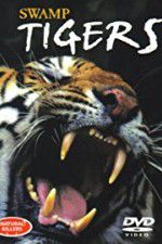 Watch Swamp Tigers M4ufreemovies