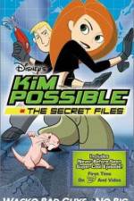 Watch "Kim Possible" Attack of the Killer Bebes M4ufreemovies