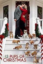Watch 12 Pups of Christmas M4ufreemovies