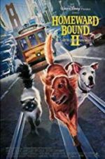 Watch Homeward Bound II: Lost in San Francisco M4ufreemovies