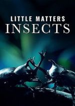 Watch Little Matters: Insects M4ufreemovies