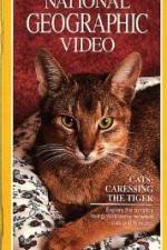 Watch Cats Caressing the Tiger M4ufreemovies