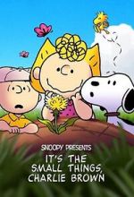 Watch Snoopy Presents: It's the Small Things, Charlie Brown (TV Special 2022) M4ufreemovies