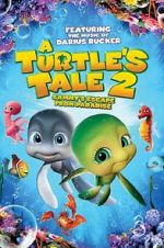 Watch A Turtle\'s Tale 2: Sammy\'s Escape from Paradise M4ufreemovies