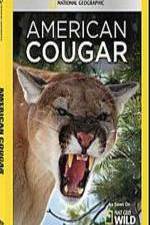 Watch National Geographic - American Cougar M4ufreemovies