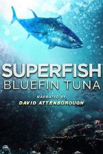 Watch Superfish Bluefin Tuna M4ufreemovies