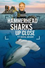 Watch Hammerhead Sharks Up Close with Bertie Gregory M4ufreemovies