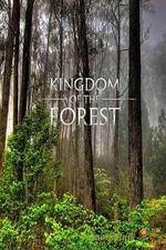 Watch National Geographic Kingdom of the Forest M4ufreemovies