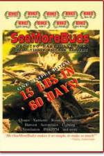 Watch SeeMoreBuds: Vol. 1 M4ufreemovies