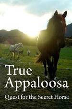Watch True Appaloosa M4ufreemovies