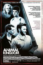 Watch Animal Kingdom M4ufreemovies