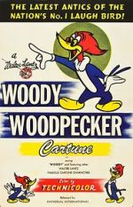 Watch The Woody Woodpecker Polka M4ufreemovies