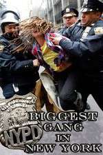 Watch NYPD: Biggest Gang in New York? M4ufreemovies