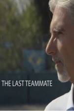 Watch Senna The Last Teammate M4ufreemovies