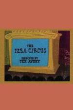 Watch The Flea Circus M4ufreemovies