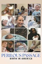 Watch Perilous Passage: Birth in America M4ufreemovies